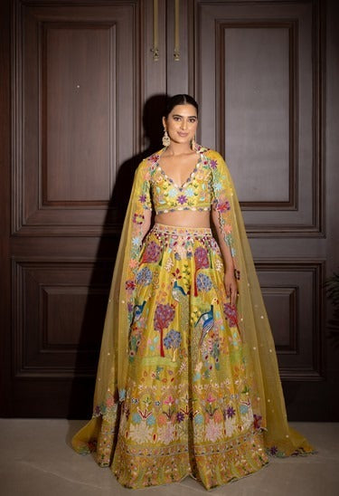 Aravalli lehenga